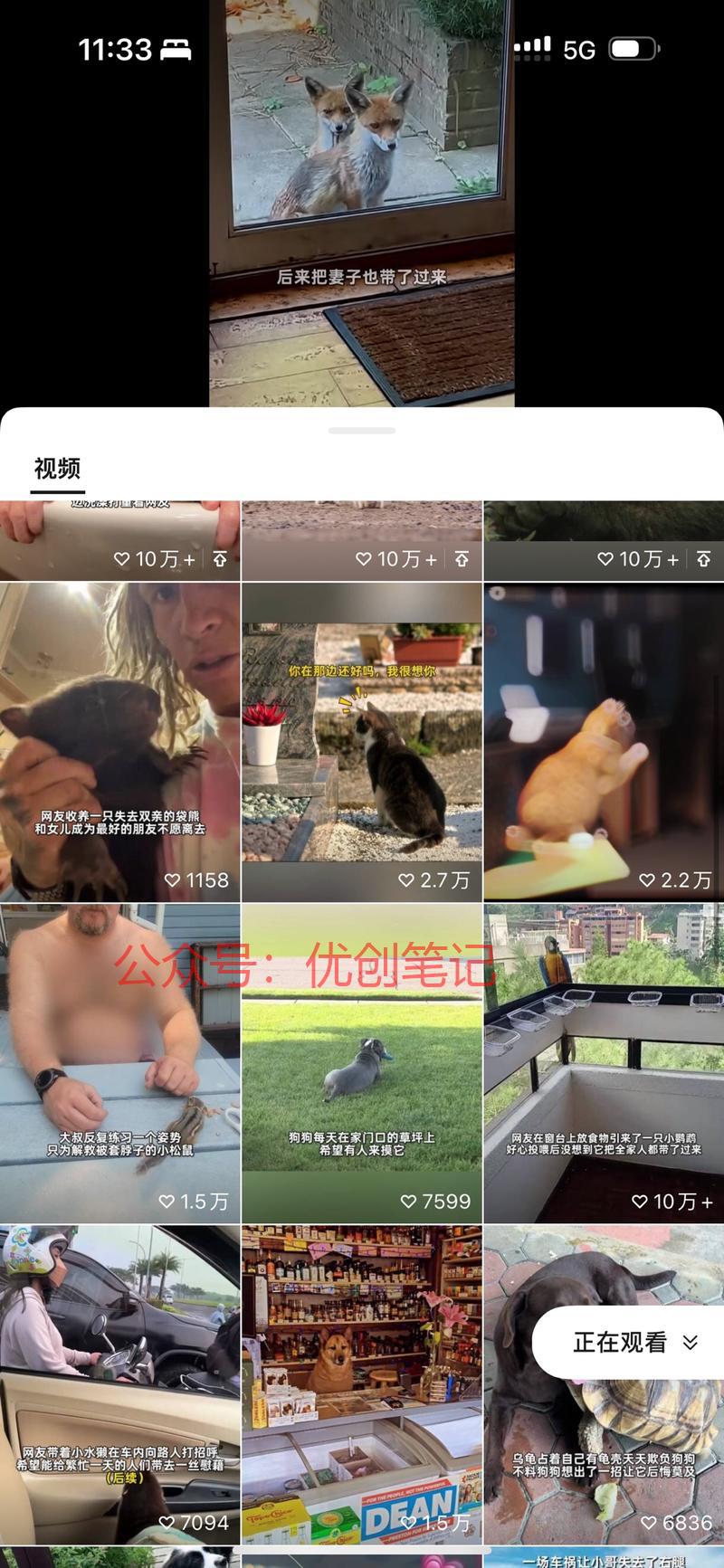萌宠也是少数不多受众最多的赛道..情报-搞钱线报📢论坛-网创交流-优创圈